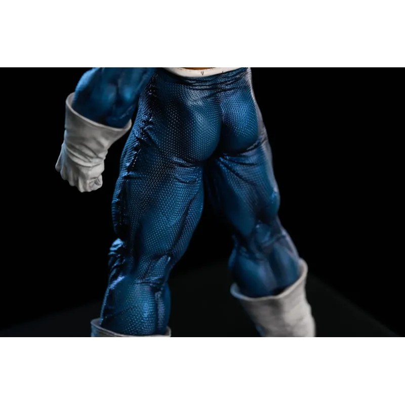 Dragon Ball Z Vegeta To Youth Studio