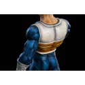 Dragon Ball Z Vegeta To Youth Studio