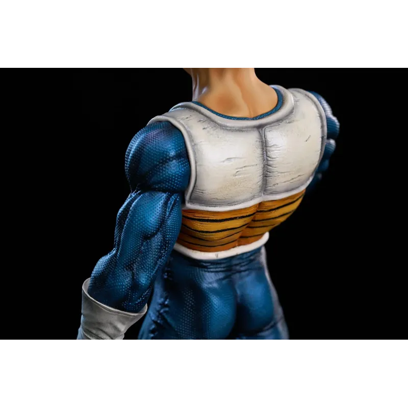 Dragon Ball Z Vegeta To Youth Studio