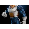 Dragon Ball Z Vegeta To Youth Studio