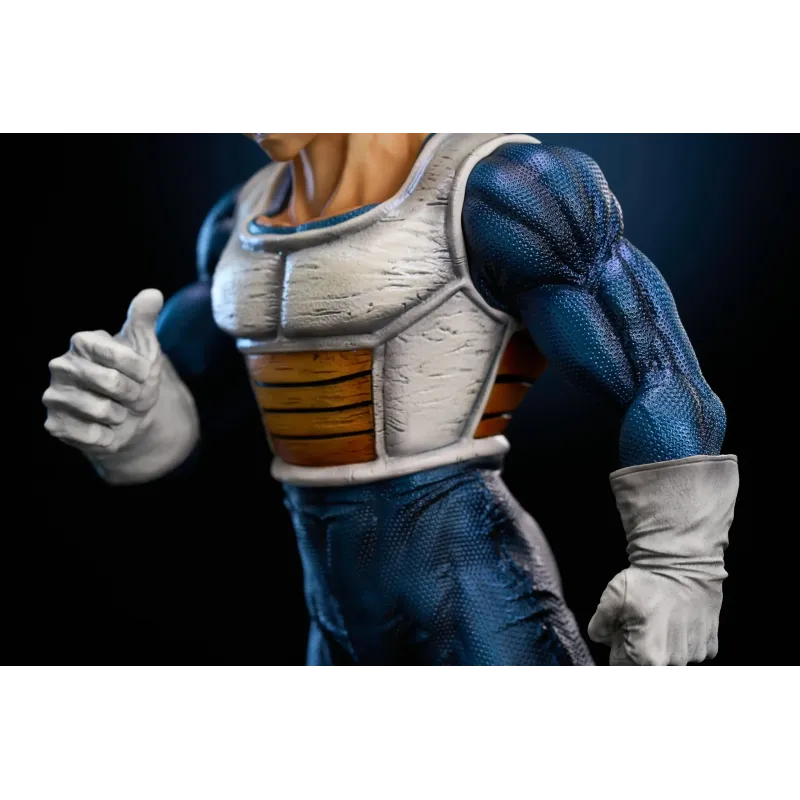 Dragon Ball Z Vegeta To Youth Studio
