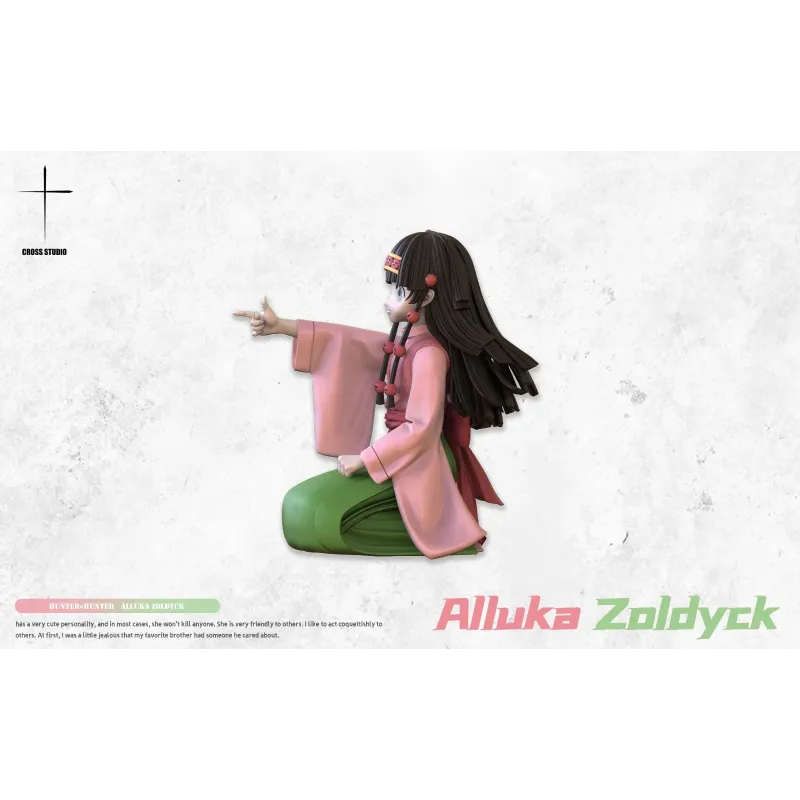 Hunter x Hunter Alluka Cross Studio
