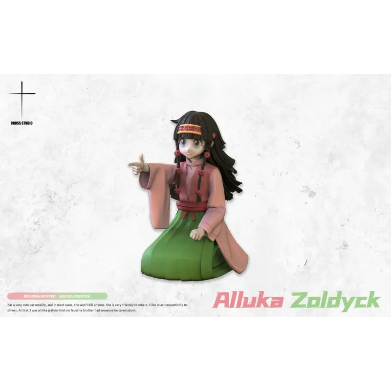 Hunter x Hunter Alluka Cross Studio
