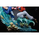 Dragon Ball Z Vegetto vs Buuhan Loaden Studio