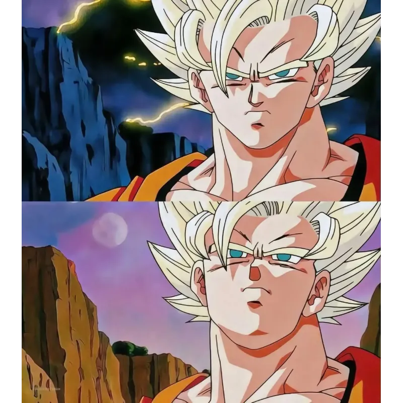 Dragon Ball Z Goku SSJ2 Buu Studio