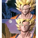 Dragon Ball Z Goku SSJ2 Buu Studio