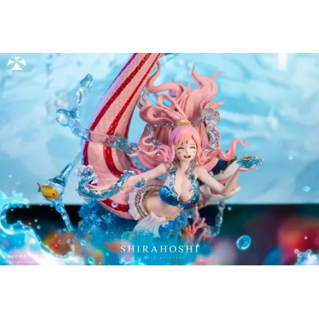 One Piece Shirahoshi 3X Studio