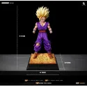 Dragon Ball Z Gohan SSJ2 SG Studio