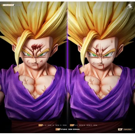 Dragon Ball Z Gohan SSJ2 SG Studio