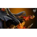 Katekyo Hitman Reborn Sawada Tsunayoshi Star Orbital Studio