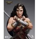 DC Wonder Woman Inart Collectibles