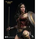 DC Wonder Woman Inart Collectibles