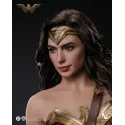 DC Wonder Woman Inart Collectibles