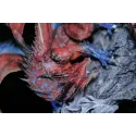 Monster Hunter Safi'jiiva NP Studio