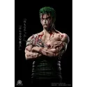 One Piece Bloody Zoro Dream Studio