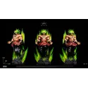 Dragon Ball Z Broly The Legendary Super Saiyan King Studio