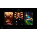 Dragon Ball Z Broly The Legendary Super Saiyan King Studio