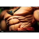 Dragon Ball Z Broly The Legendary Super Saiyan King Studio