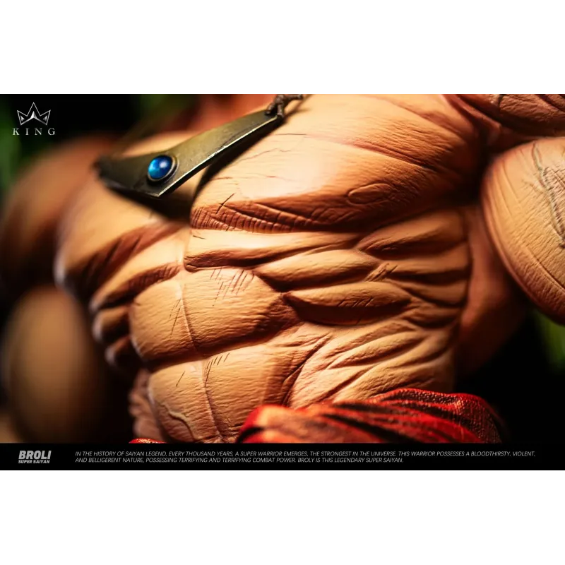 Dragon Ball Z Broly The Legendary Super Saiyan King Studio
