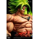 Dragon Ball Z Broly The Legendary Super Saiyan King Studio