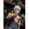 Dragon Ball GT Baby Vegeta XG Studio