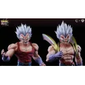 Dragon Ball GT Baby Vegeta XG Studio