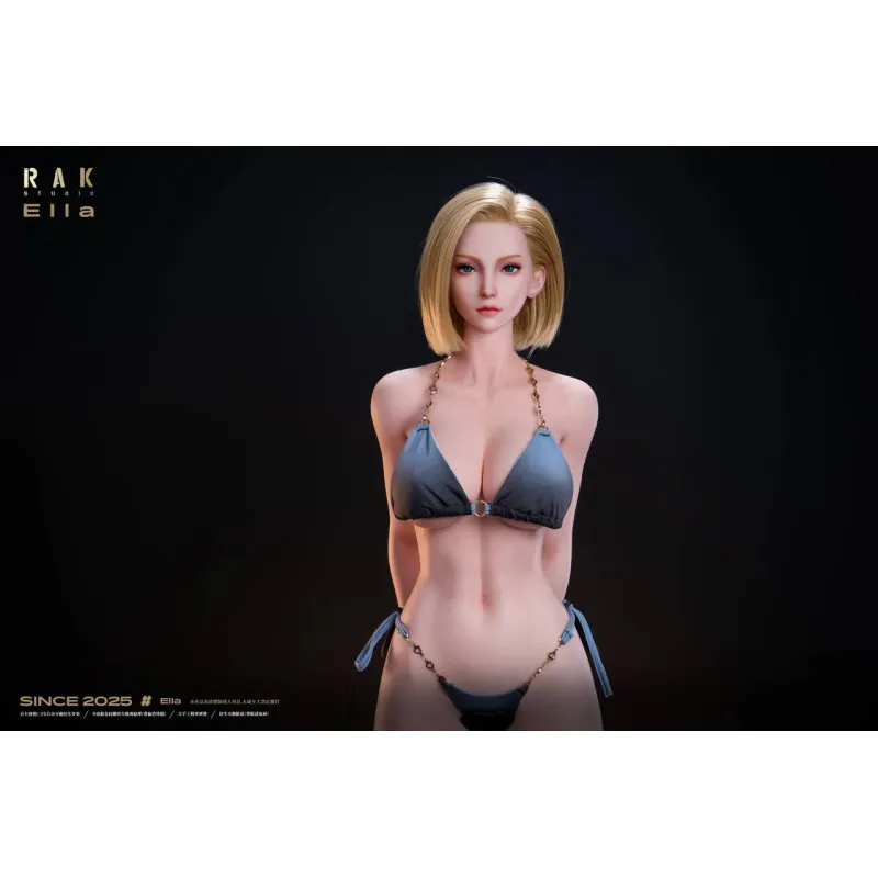 Dragon Ball Z Android 18 Rak Studio