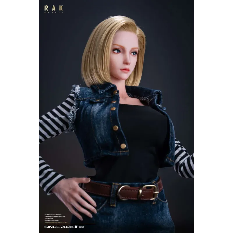 Dragon Ball Z Android 18 Rak Studio