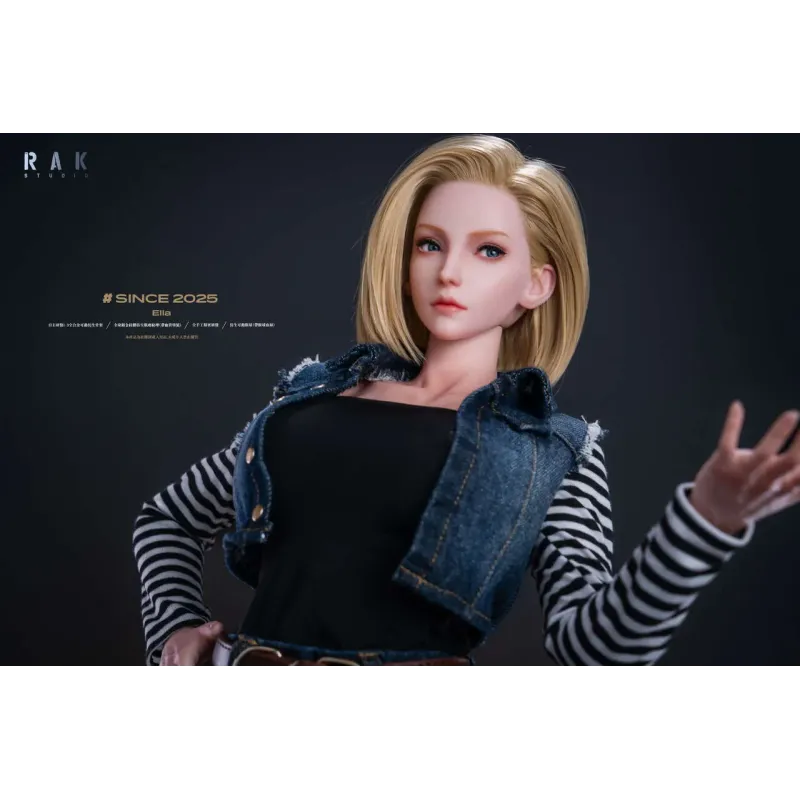 Dragon Ball Z Android 18 Rak Studio