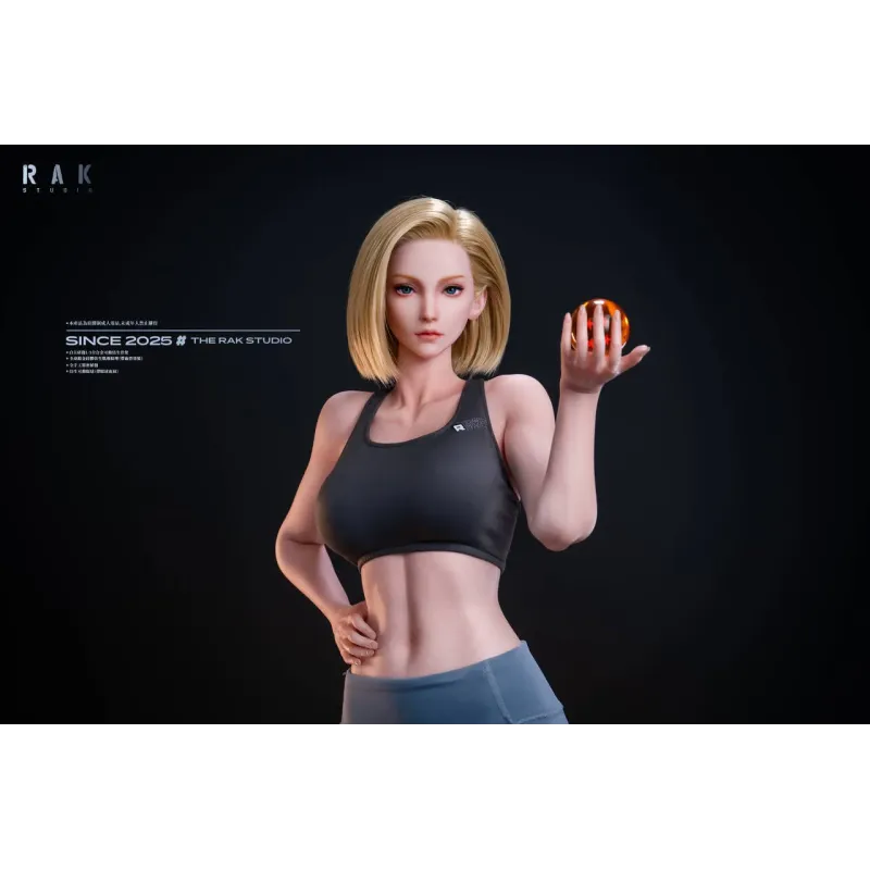 Dragon Ball Z Android 18 Rak Studio