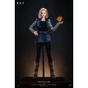 Dragon Ball Z Android 18 Rak Studio