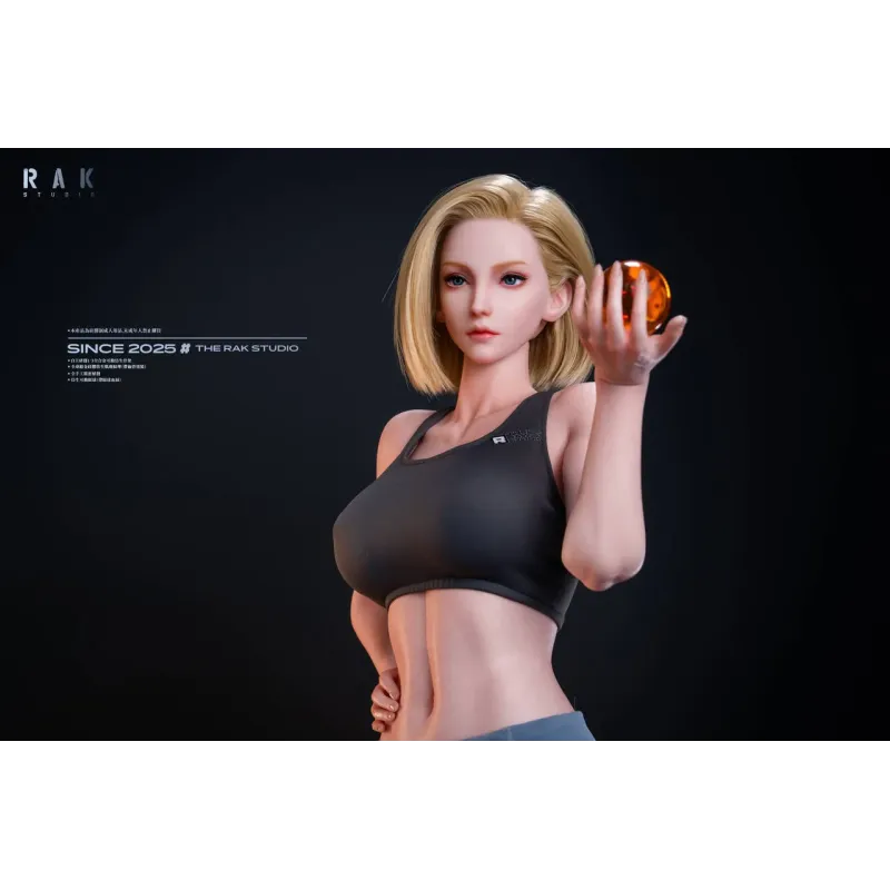 Dragon Ball Z Android 18 Rak Studio