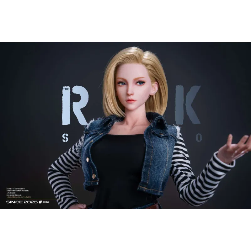Dragon Ball Z Android 18 Rak Studio