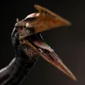 Jurassic World Quetzalcoatlus Iron Studios