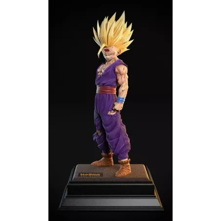 Dragon Ball Z SSJ2 Son Gohan 2％ Studio