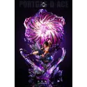 One Piece Portgas D Ace Reset Studio
