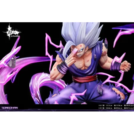 Dragon Ball Super Gohan Beast D-YJ Studio