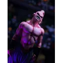 Dragon Ball Z Super Buu XG Studio