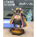 One Piece Marshall D Teach Stand Studio