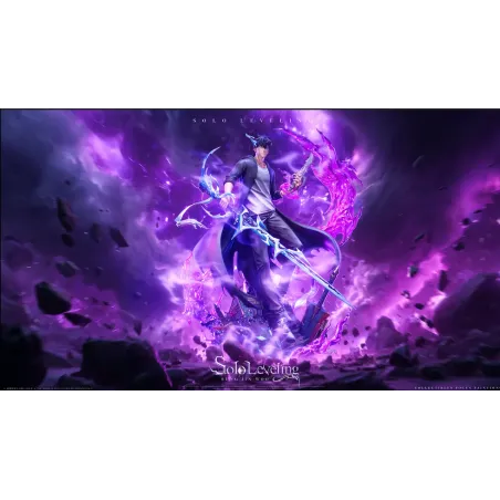 Solo Leveling Sung Jin Woo BBA Studio