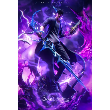 Solo Leveling Sung Jin Woo BBA Studio