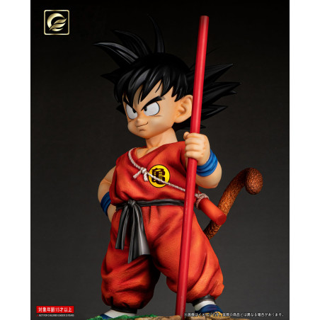 Dragon Ball Son Goku Kid Life Size Figure Class