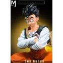 Dragon Ball Z High School Student Gohan MJ Studio