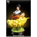 Dragon Ball Z High School Student Gohan MJ Studio