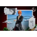 Bleach Ichigo Kurosaki FlyLeaf Studio