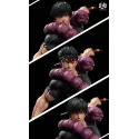 Jujutsu Kaisen Fushiguro Toji  Real World Studio