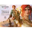 The Witcher 3 Triss Merigold Alternative Outfit Prime 1 Studio