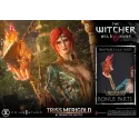 The Witcher 3 Triss Merigold Alternative Outfit Prime 1 Studio