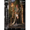 The Witcher 3 Triss Merigold Alternative Outfit Prime 1 Studio