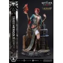 The Witcher 3 Triss Merigold Alternative Outfit Prime 1 Studio